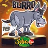 Burro