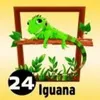 Iguana